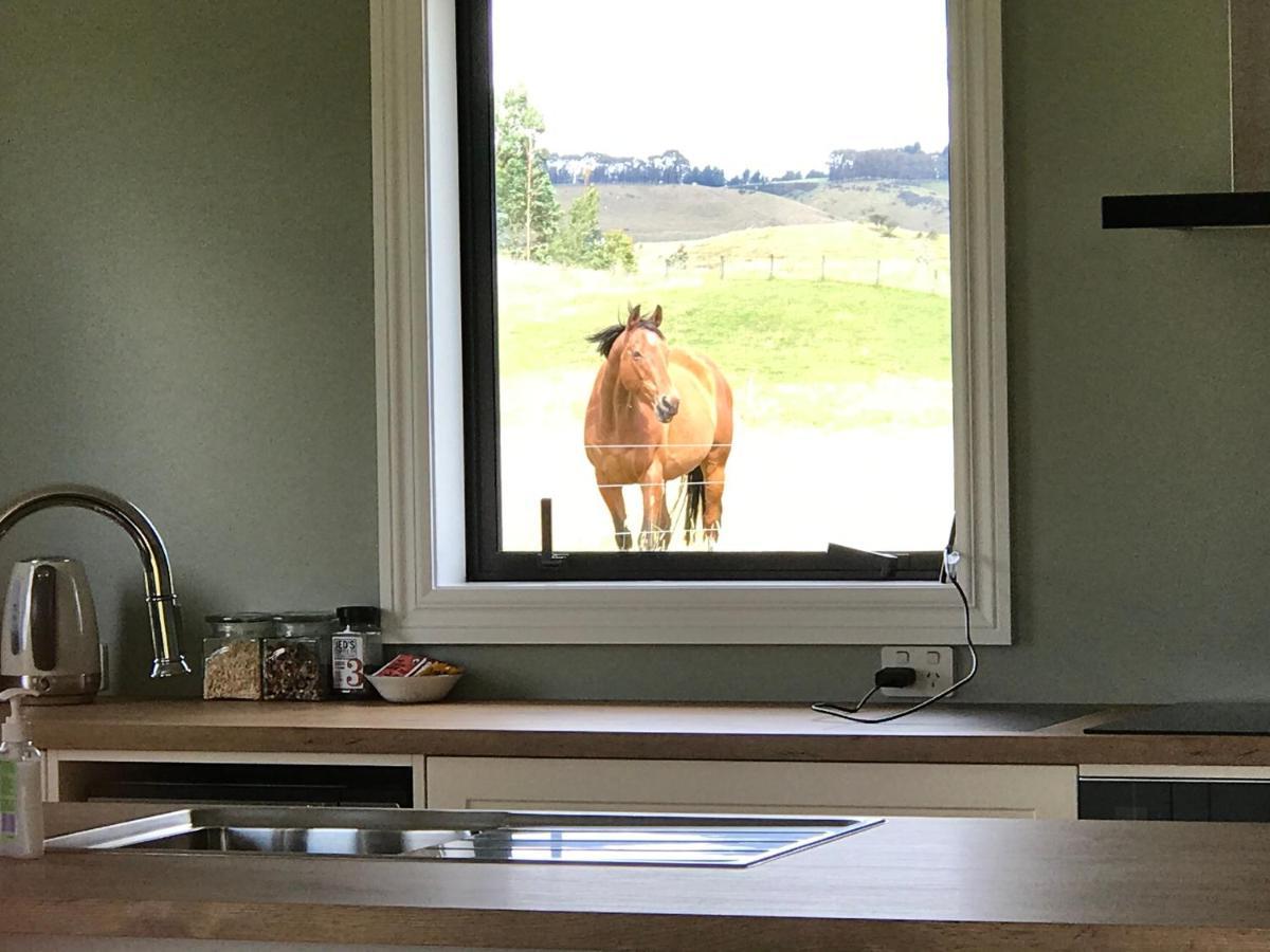Kepler Oaks Chalet Te Anau Luaran gambar