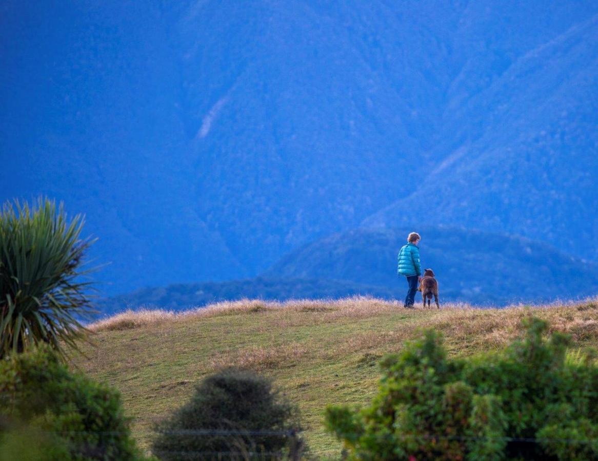 Kepler Oaks Chalet Te Anau Luaran gambar